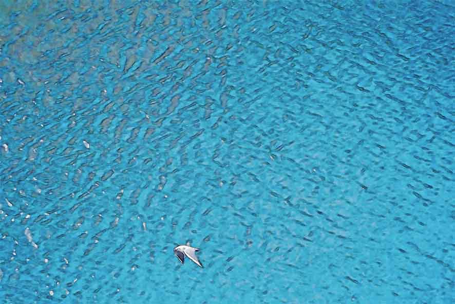 芦屋プラン株式会社 宇治市植物公園